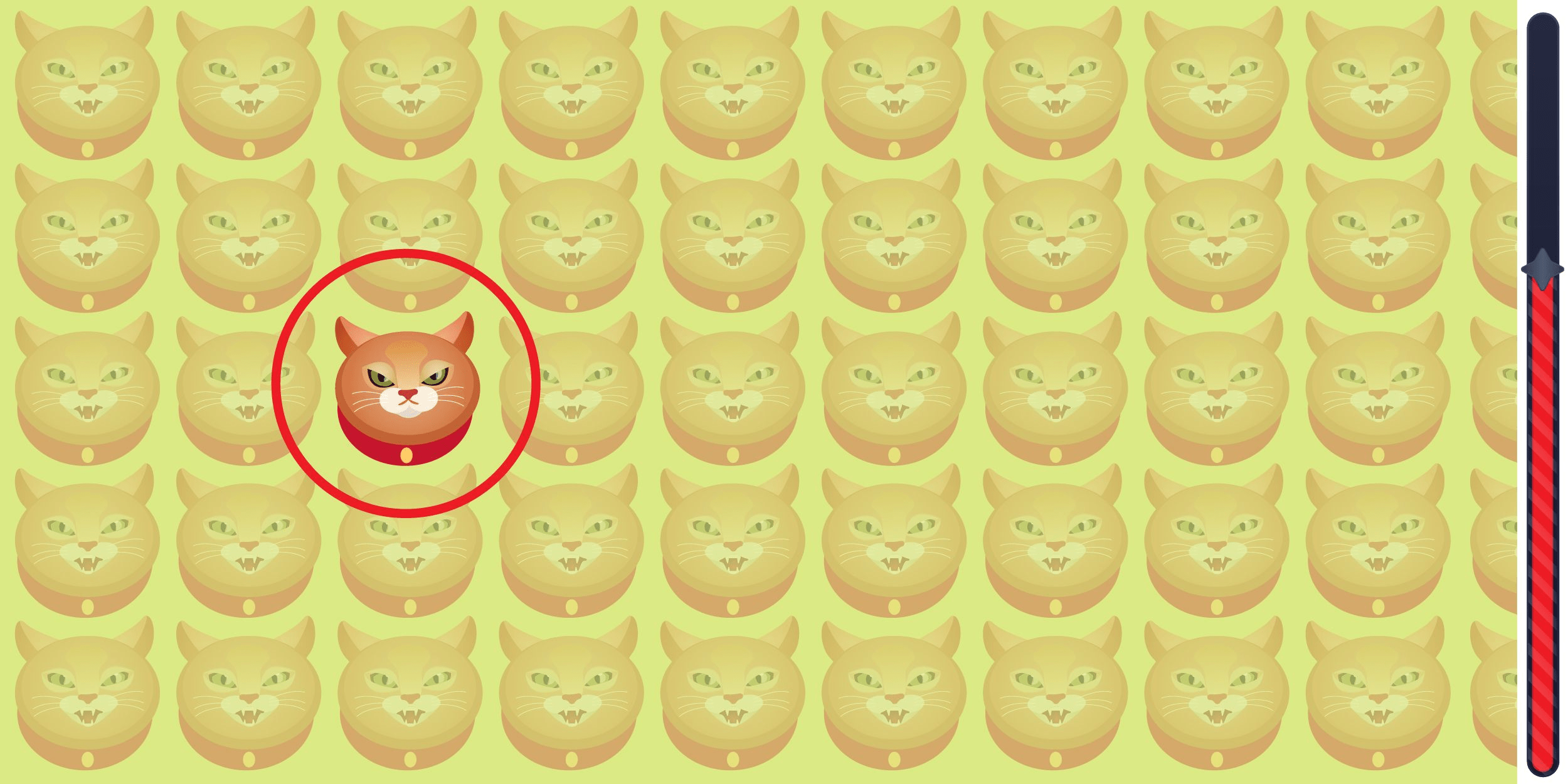 Visual Challenge: ontdek de indringer verborgen onder katten in minder dan 5 seconden en toont uw observatievaardigheden!